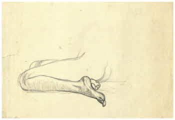 Visualizza l'immagine "FD D 631"